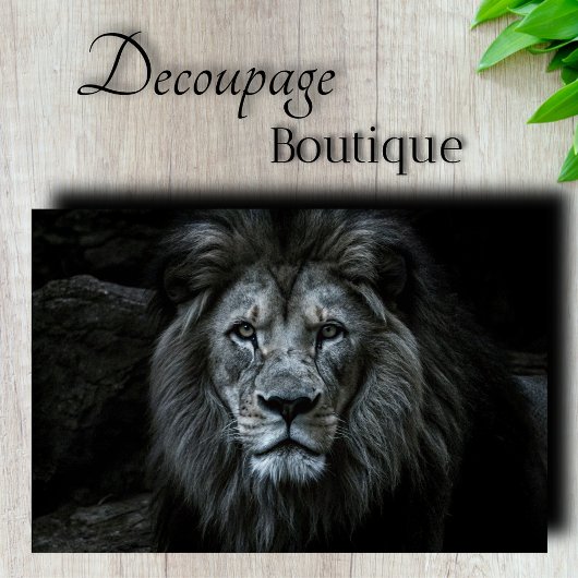 Majestic Lion Decoupage Seidenpapier