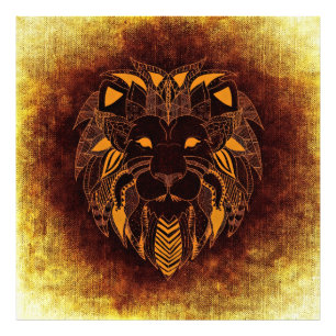 Majestic Lion Foto Erweiterung