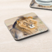 Majestic lion Foto Getränkeuntersetzer (Linke Seite)