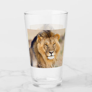Majestic lion Foto Glas