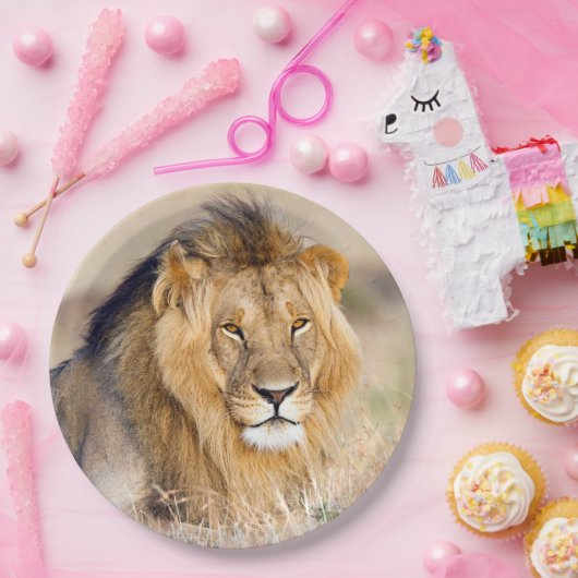 Majestic lion Foto Pappteller (Party)