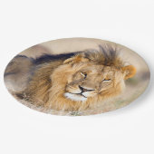 Majestic lion Foto Pappteller (Schrägansicht)