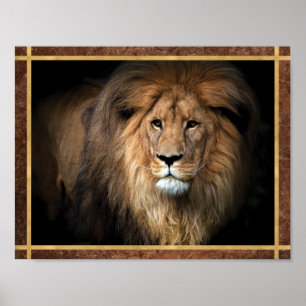 Majestic Lion Foto Poster