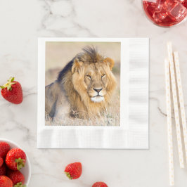 Majestic lion Foto Serviette