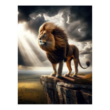 Majestic Lion on Cliff - Inspiration für Wildtiere