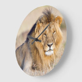 Majestic lion photo große wanduhr (Winkel)