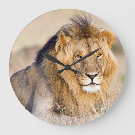 Majestic lion photo große wanduhr (Vorderseite)