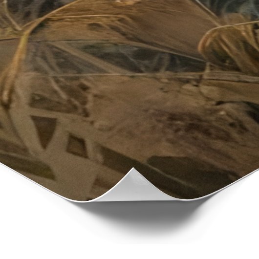 Majestic Lion Poster (Ecke)