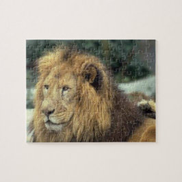 Majestic Lion Puzzle