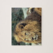 Majestic Lion Puzzle (Vertikal)