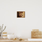 Majestic Lion Sideway Foto Poster (Küche)
