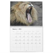 Majestic Lions 2026 Kalender (Feb 2026)