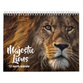 Majestic Lions 2026 Kalender (Titelbild)