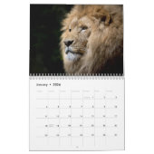 Majestic Lions 2026 Kalender (Jan 2026)