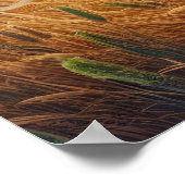 Majestic Lions Roaming kostenlos Poster (Ecke)