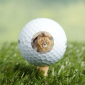 Majestic Löwe-Foto Golfball (Insitu T-Shirt)