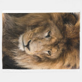 Majestic Löwe in der Wildnis Fleecedecke (Vorderseite (Horizontal))