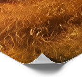 Majestic Löwen vereinen sich auf ausgedehntem Gras Poster (Ecke)