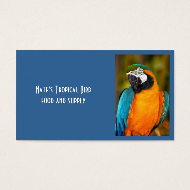 Majestic Macaw (Vorderseite)