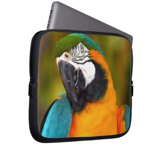 Majestic Macaw Laptopschutzhülle (Vorne Rechts)