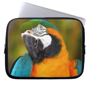 Majestic Macaw Laptopschutzhülle