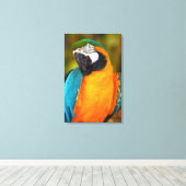 Majestic Macaw Leinwanddruck (Insitu (Holzboden))