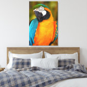 Majestic Macaw Leinwanddruck (Insitu (Schlafzimmer))