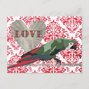 Majestic Macaw Liebe Damask Postkarte