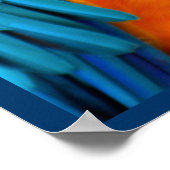 Majestic Macaw Poster (Ecke)