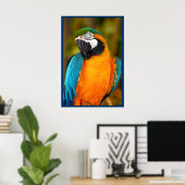 Majestic Macaw Poster (Heimbüro)