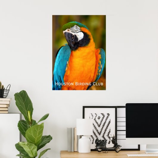 Majestic Macaw Poster (Heimbüro)
