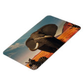 Majestic Magnet (Linke Seite)