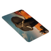 Majestic Magnet (Rechte Seite)