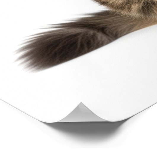 Majestic Maine Coon Art Poster (Ecke)