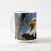 Majestic Male Bald Eagle in Nest - #1 Vater Kaffeetasse (Vorderseite Links)