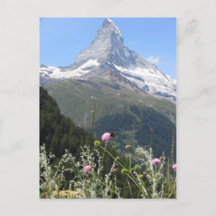 Majestic Matterhorn Mountain Postkarte