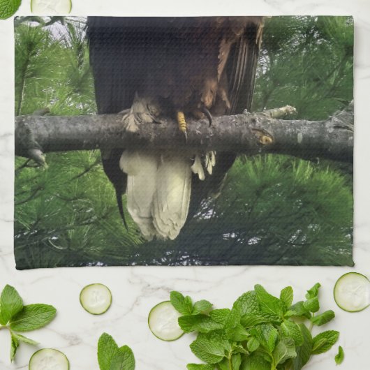 Majestic Mature Bald Eagle im Baum Geschirrtuch (Gefaltet)