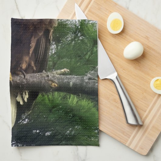 Majestic Mature Bald Eagle im Baum Geschirrtuch (Viertel Falte)