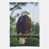 Majestic Mature Bald Eagle im Baum Geschirrtuch (Vertikal)
