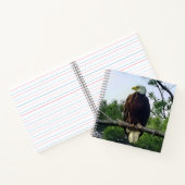 Majestic Mature Bald Eagle im Baum Notizblock (Innenseite)