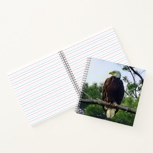 Majestic Mature Bald Eagle im Baum Notizblock (Innenseite)
