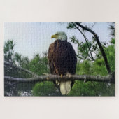 Majestic Mature Bald Eagle im Baum Puzzle (Horizontal)