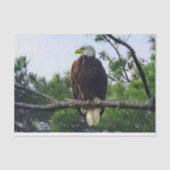 Majestic Mature Bald Eagle im Baum Seidenpapier (Vorderseite)