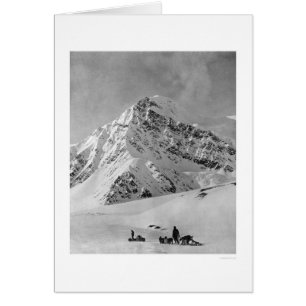 Majestic McKinley 1908