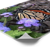 Majestic Monarch Poster (Ecke)