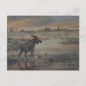 Majestic Moose Postkarte (Vorderseite)
