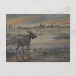 Majestic Moose Postkarte