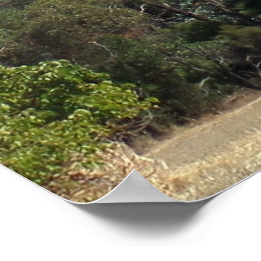 Majestic Mount Sturgeon from Dunkeld Poster (Ecke)