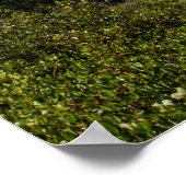 Majestic Mountains Poster Paper (Matte) (Ecke)