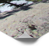 Majestic Nature in Estes Park Colorado Poster (Ecke)